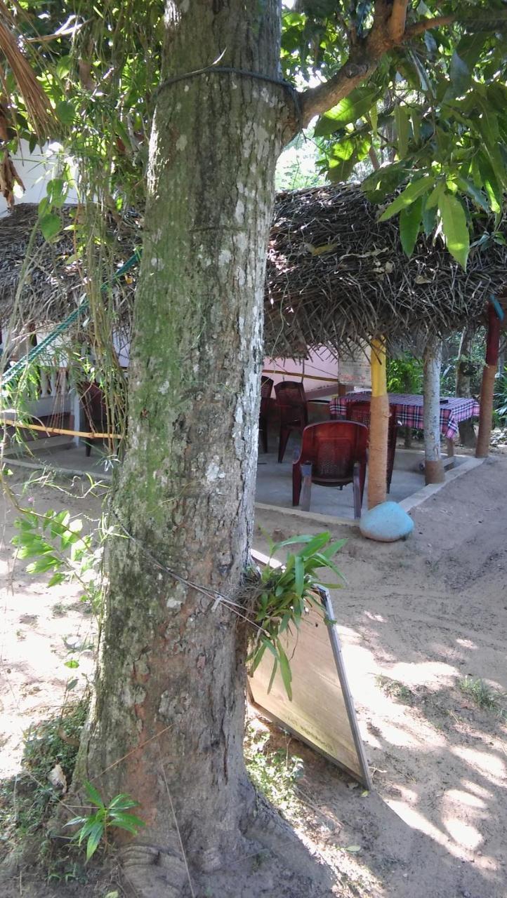 Thevindu Guest & Redmud Resturent Banduramulla Exterior photo